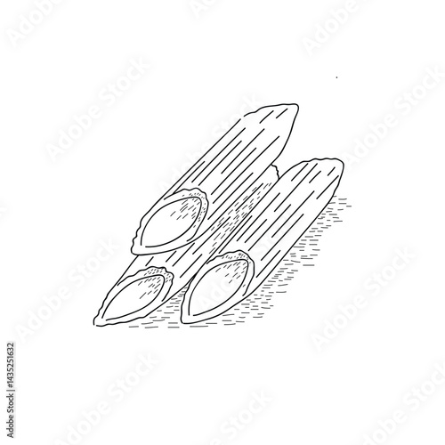 A detailed black-and-white line art illustration of three pieces of penne pasta. The tubes are angled with clean diagonal cuts and distinct ridged surfaces, highlighting the traditional texture