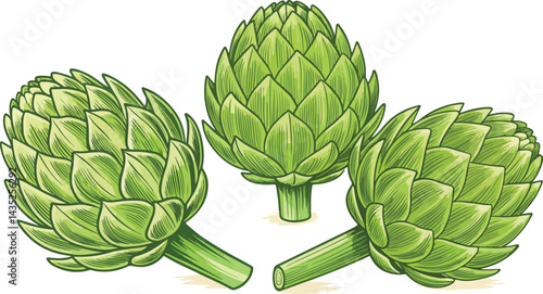 Artichoke in white background Illustration vector design, Artichoke Illustration vector design