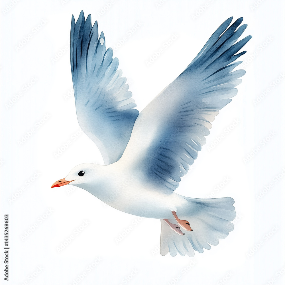 Watercolor illustration of a cute little Seagulls in flight. isolated on a white background Watercolor illustration of a cute little Seagulls in flight. isolated on a white background