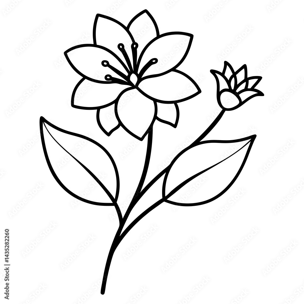 Fototapeta premium Minimal Free-Flowing Florals Vector on White