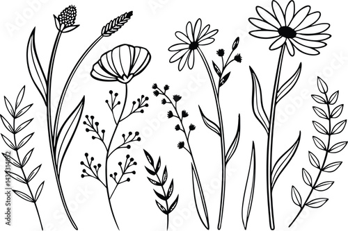 Boho Wildflower Clipart Set for Creative Projects. Hand Drawn Boho Wildflower Clipart Set for Designers. Elegant Boho Wildflower Clipart Set for Printable. Wildflower Clipart Set for Invitations
