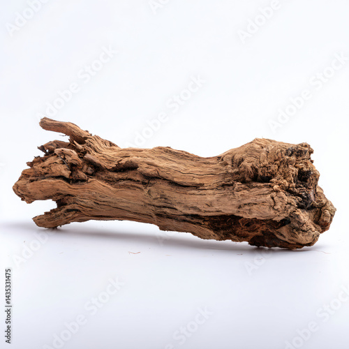 Weathered Wood Specimen: a single piece of aged, weathered wood, revealing its natural texture, intricate grain, and the stories etched by time.