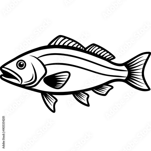 Minimal Barramundi Fish Vector on White