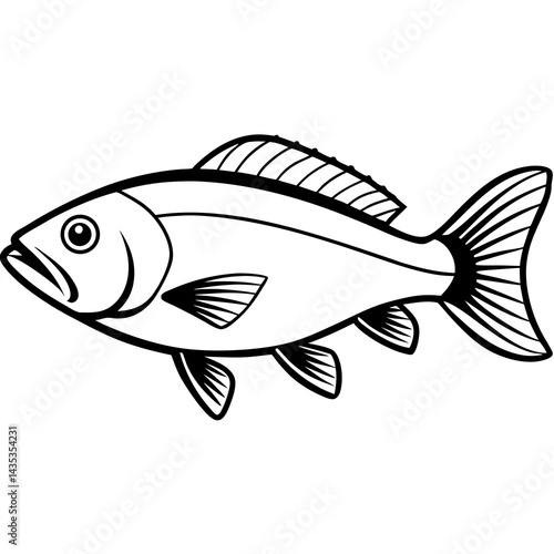 Minimal Barramundi Fish Vector on White
