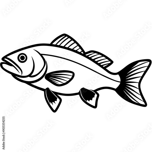 Minimal Barramundi Fish Vector on White