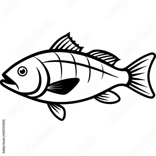 Minimal Barramundi Fish Vector on White