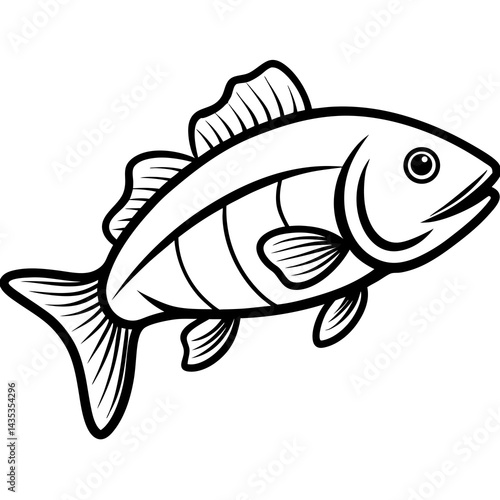 Minimal Barramundi Fish Vector on White