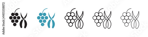 Pruning grape vector icon logo or illustration