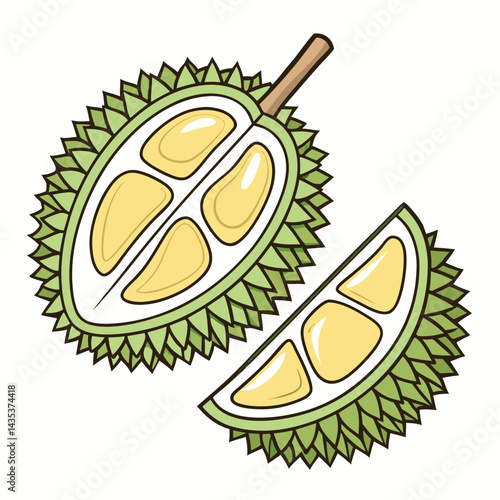 Durian Fruit Illustration