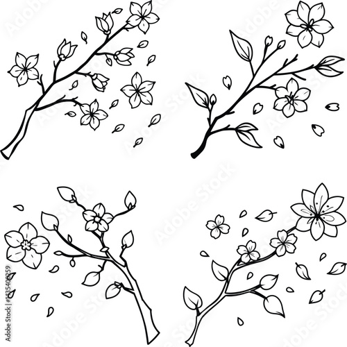 Cherry blossom twigs outlines for springtime and floral design projects