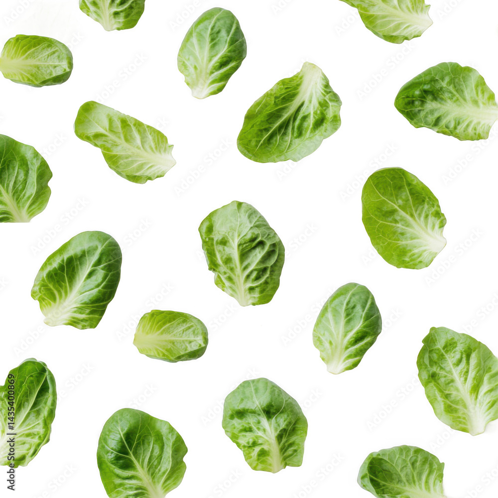 Isolated transparent PNG die-cut.Isolated on white background. Floating Green Lettuce Leaves on Black Background Isolated transparent PNG die-cut.Isolated on white background. Floating Green Lettuce Leaves on Black Background