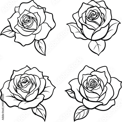Wallpaper Mural Rose flowers black and white outline illustration floral design elements Torontodigital.ca