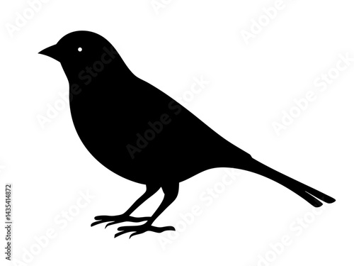 canary silhouette vector for pet branding, nature conservation, web graphics, educational visuals, and creative design
