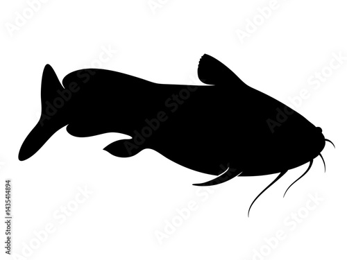 catfish silhouette vector for aquatic branding, fishing designs, web graphics, educational visuals, and creative projects
