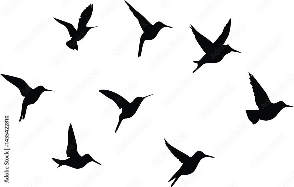 Humming birds flying in open air Humming birds flying in open air
