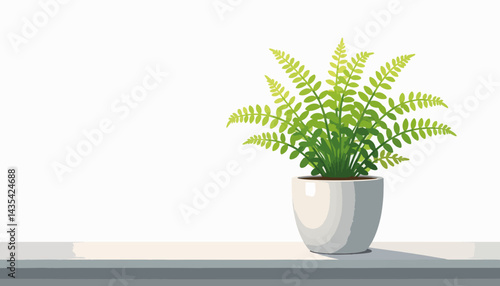 Lush green fern in white ceramic pot on minimalist windowsill, simplicity
