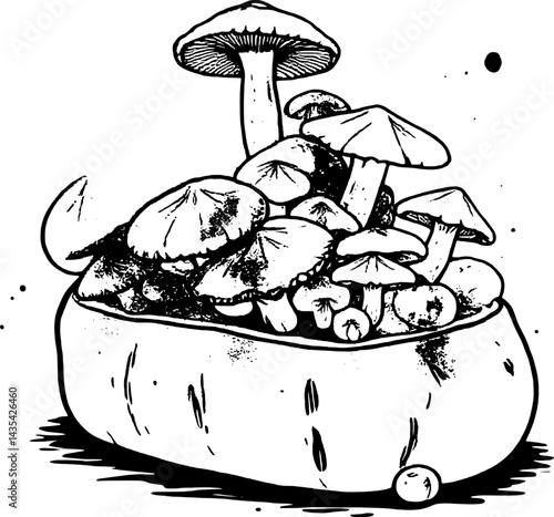 Colorful Watercolor Illustration Of Assorted Mushrooms In A Basket With A Single Pearl Beside It