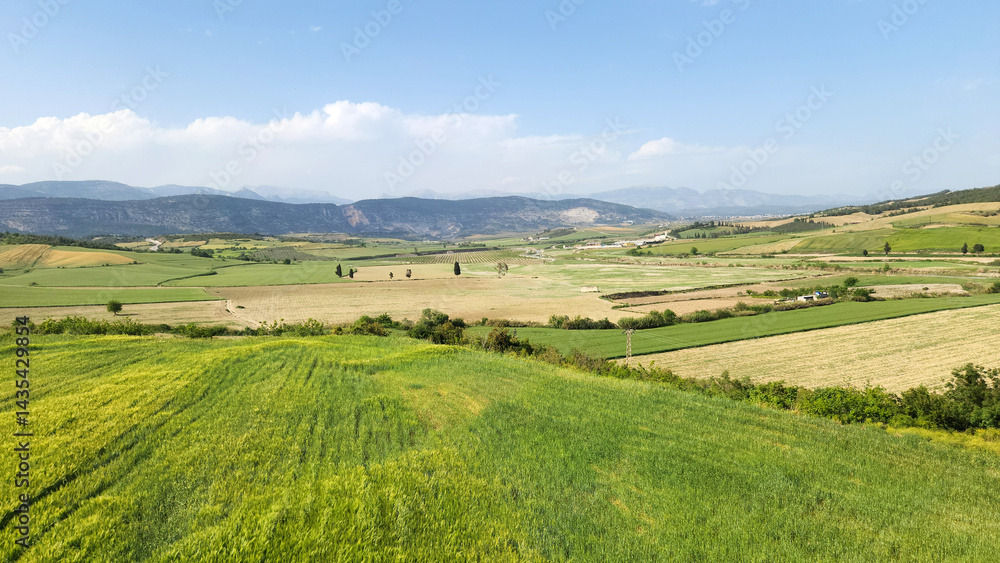 The ripening barley ears in the fields present a vivid green landscape, enhanced by the last April rains. The ripening barley ears in the fields present a vivid green landscape, enhanced by the last April rains.
