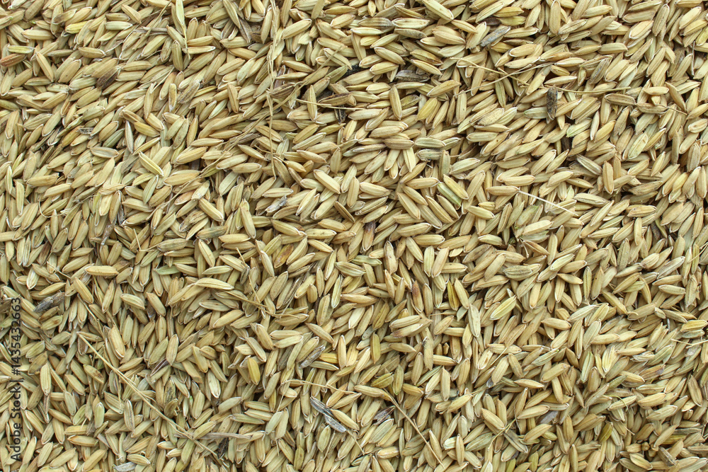 close up of cumin seeds close up of cumin seeds