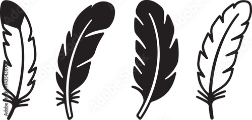 vector illustration of feather