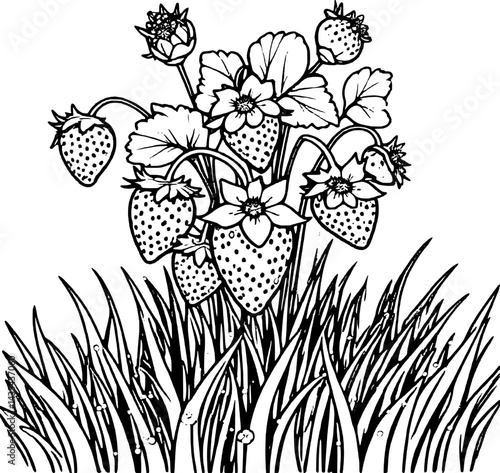 Stylized Strawberry Plant With Flowers And Ripe Berries Growing In Tall Grass Illustration