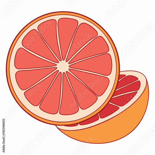 Grapefruit slice illustration