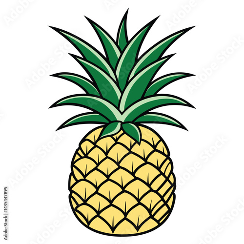 Pineapple illustration