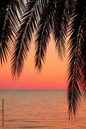 Tropical sunset view through palm leaves with orange sky 