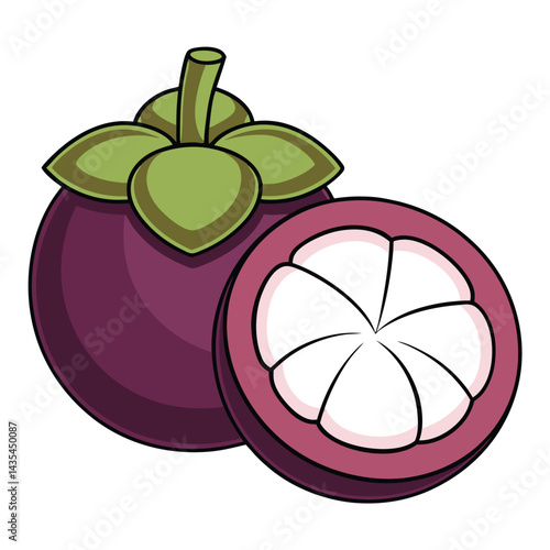 Mangosteen fruit illustration
