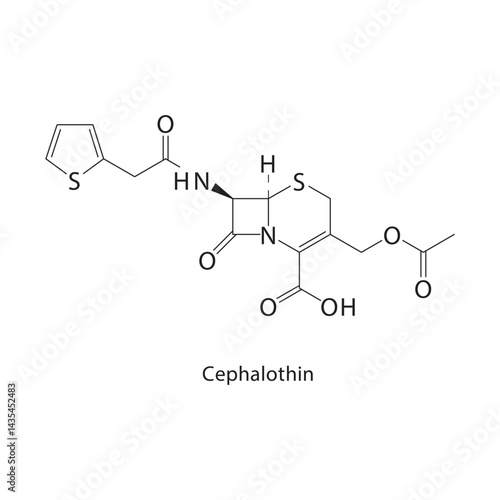 Cephalothin skeletal structure. Cephalosporin antibiotic compound schematic illustration. Simple diagram, chemical formula.