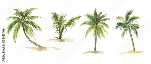 Watercolor palm trees set, hand-draw illustrations