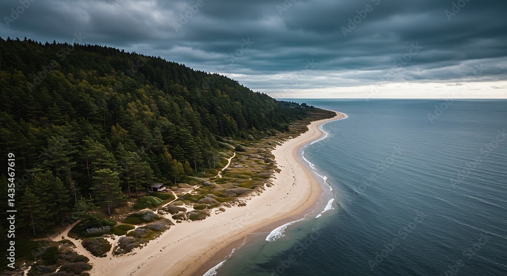 Fototapeta premium Coastal Forest Serenity: Dramatic Aerial View of Sandy Beach and Dark Clouds