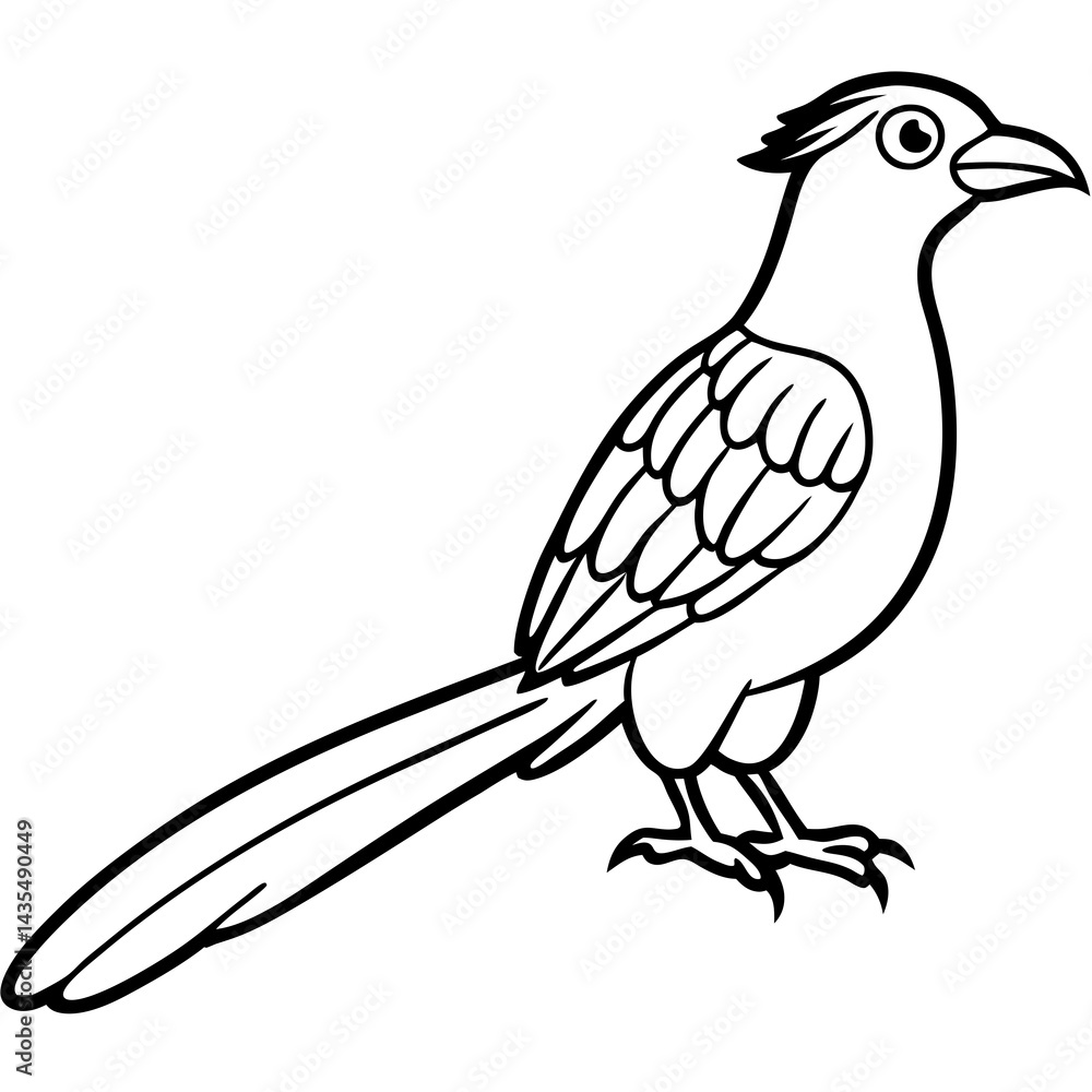 Fototapeta premium Minimal Asian Koel Vector on White