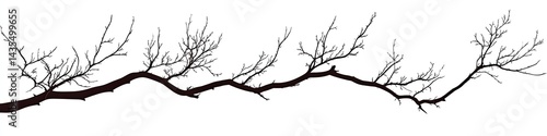 Long, bare tree branch with many small twigs extending outwards, creating a horizontal design element