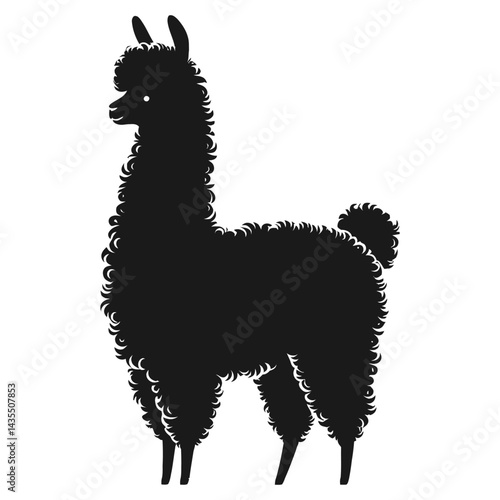 vector illustration of a llama
