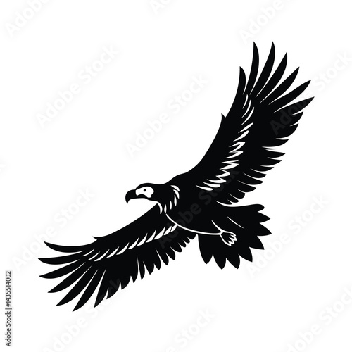 Vulture in Mid Flight Vector Detailed Wing Design