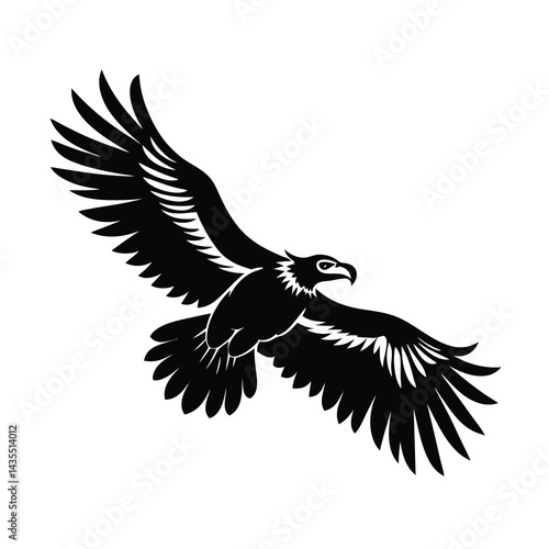 Vulture in Mid Flight Vector Detailed Wing Design