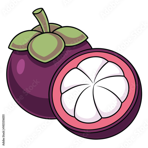 Mangosteen fruit illustration (1)