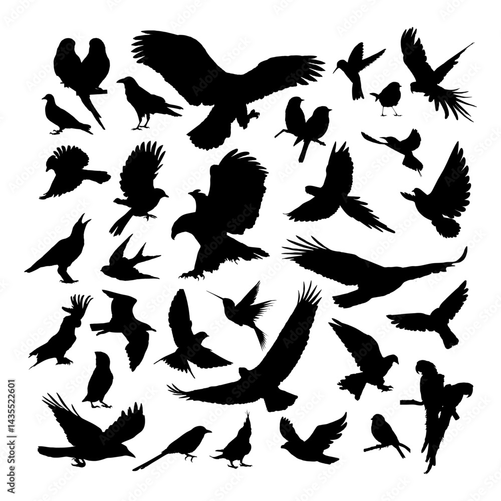 Obraz premium vector set silhouette of birds illustration