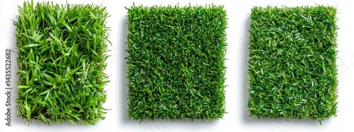 Three Green Artificial Turf Samples on White Background