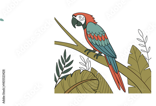 Ara macaw scientific of the macaw national bird of Honduras.