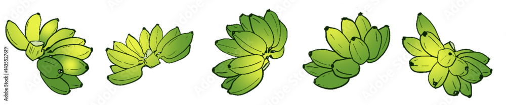 Naklejka premium Ripening Banana Bunches – Tropical Fruit Botanical Illustration Set