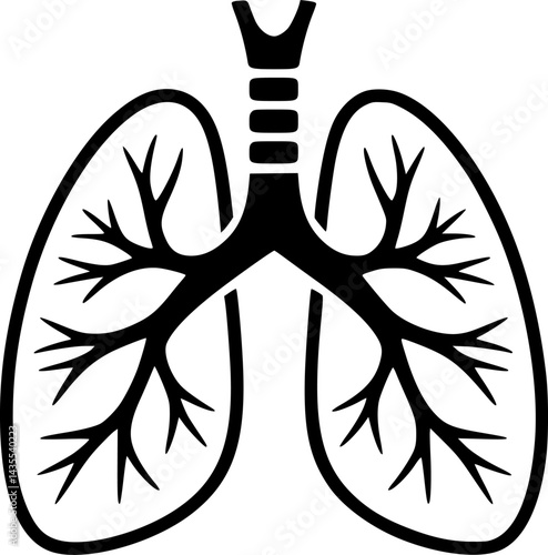 Simple Illustration of the Human Lungs