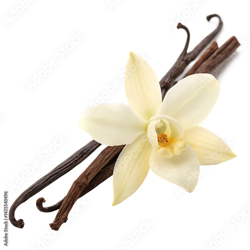 a white vanilla flower with a sticks isolated on white background PNG