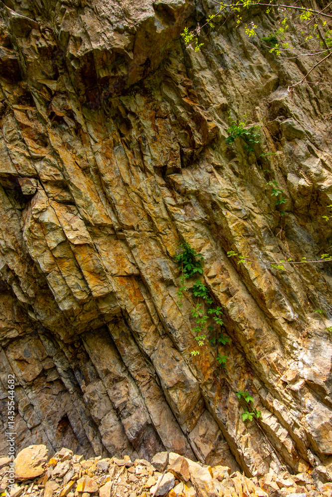Geological Outcrop with Cretaceous Rocks Geological Outcrop with Cretaceous Rocks