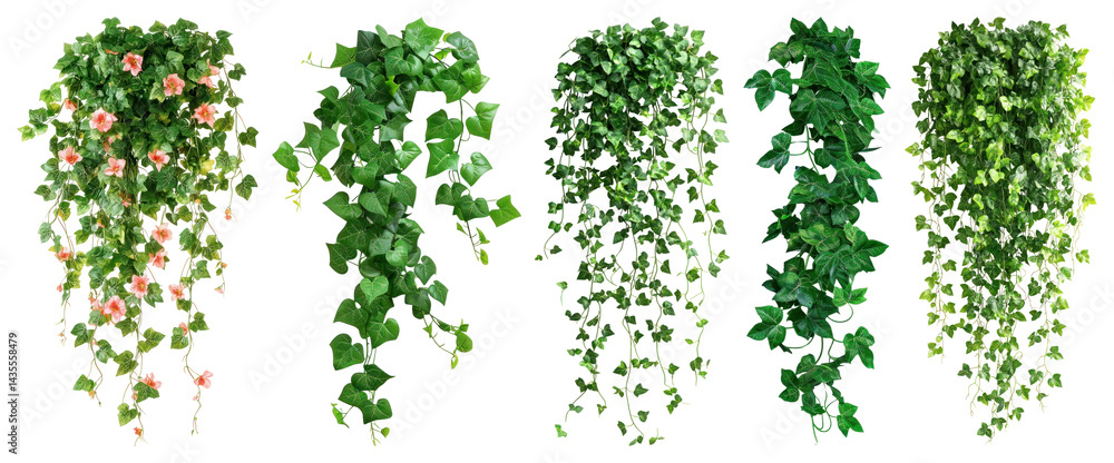 custom made wallpaper toronto digitalPNG Lush cascading greenery collection, element set on transparent background