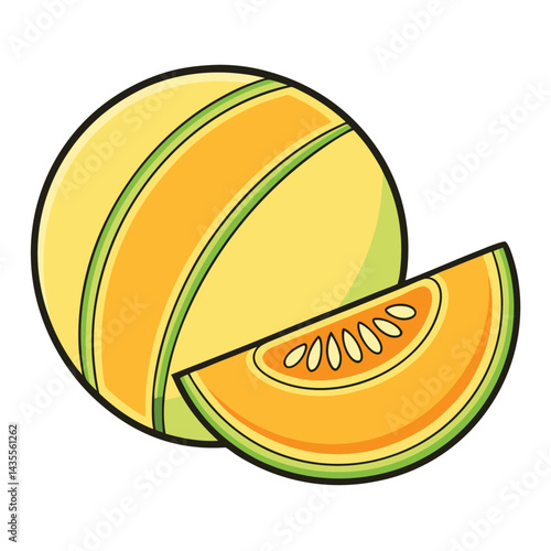 Cantaloupe slice and whole fruit illustration