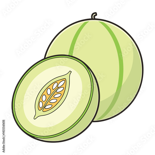 Cantaloupe illustration with a slice