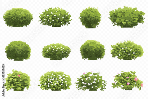 Twelve Green Bushes and Shrubs with White and Pink Flowers