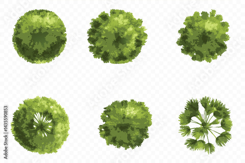 Aerial View Collection of Various Green Trees and Palm